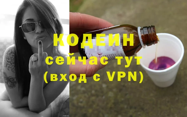 СК Медвежьегорск