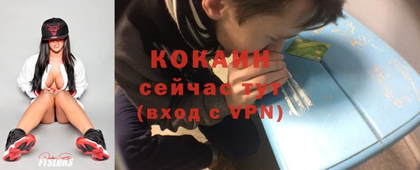 СК Медвежьегорск