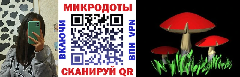 блэк спрут вход  закладки  Оса  Псилоцибиновые грибы прущие грибы 